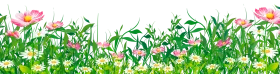 Enchanting Spring Meadow Grass and Flower Borders Clipart Landscape