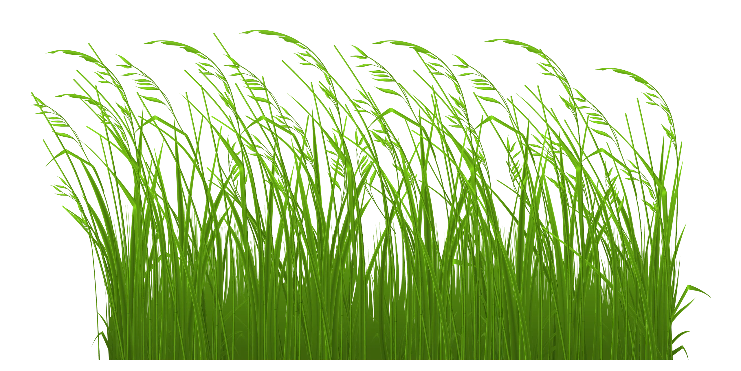 Fresh Green Grass Clipart: Natural Meadow Silhouette for Design Projects