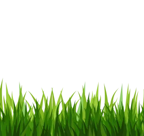 Lush Green Grass Clipart: Fresh Spring Meadow Border Design Element