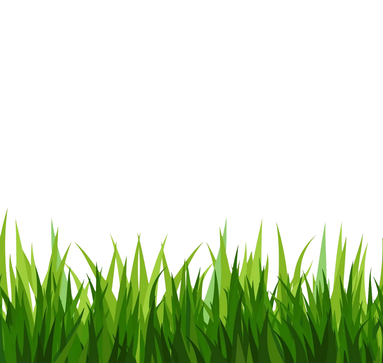 Lush Green Grass Clipart: Fresh Spring Meadow Border Design Element