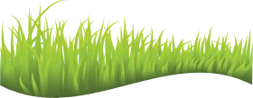 Lush Green Grass Clipart Illustration with Smooth Wavy Silhouette Design