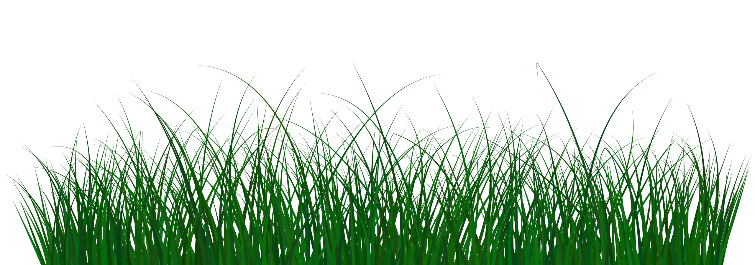 Lush Green Grass Silhouette Clipart: Natural Border Design Element