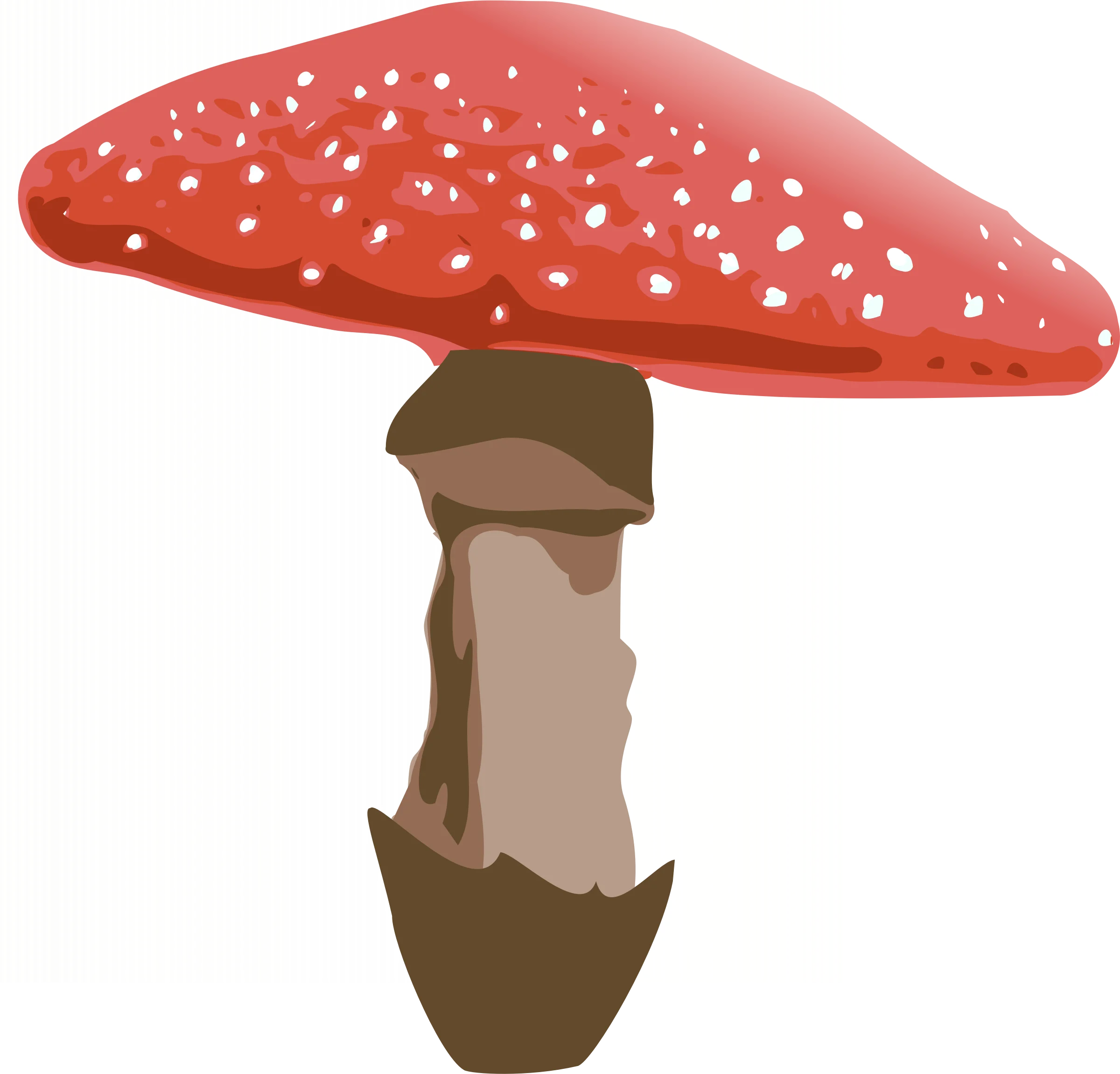 Whimsical Red and White Spotted Amanita Muscaria Mushroom Clipart Illustration
