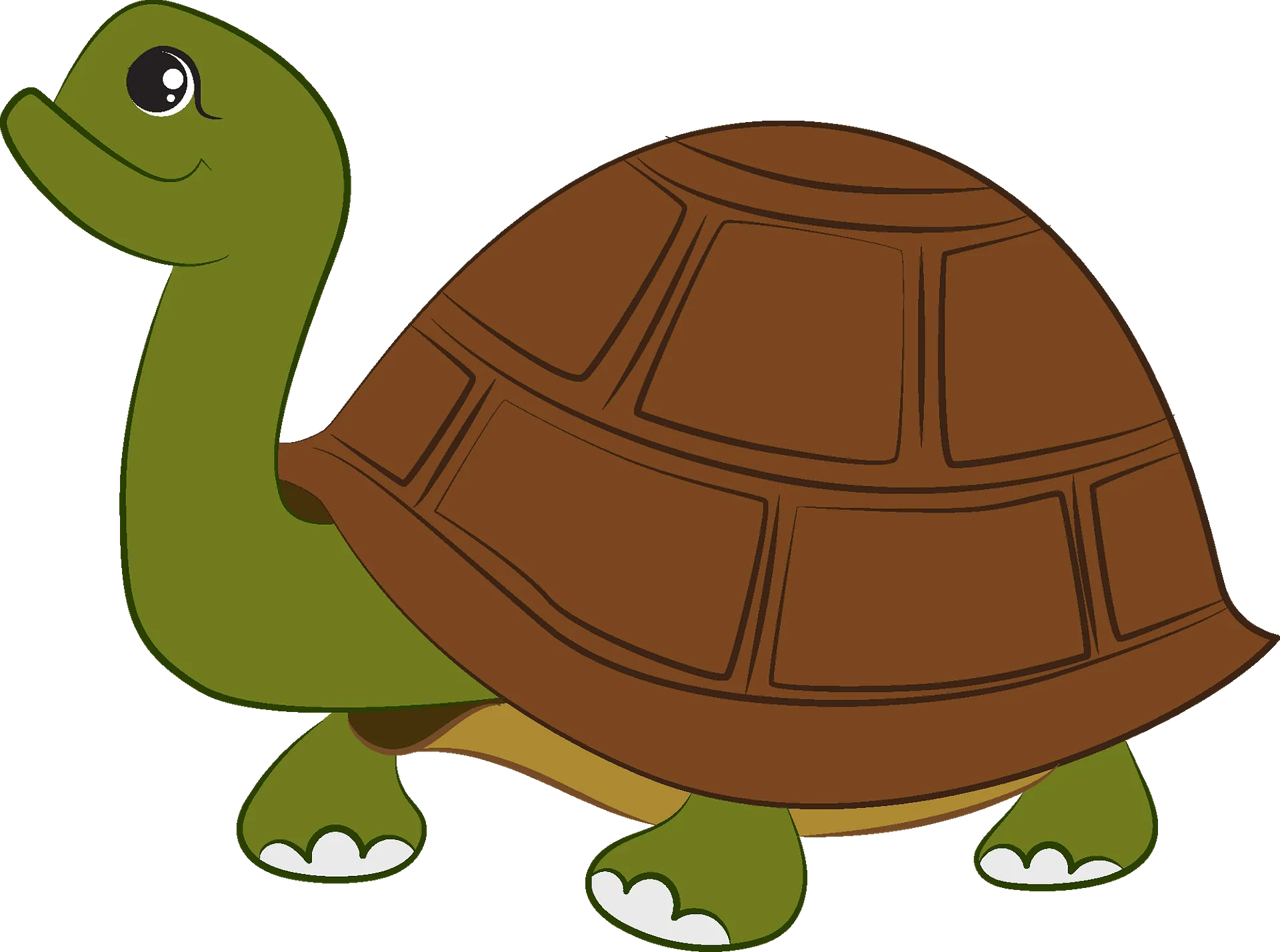 Adorable Green and Brown Turtle Clipart Illustration for Kids and Design