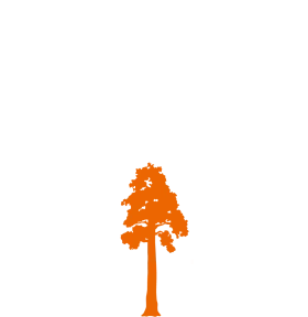 Minimalist Orange Tree Silhouette Clipart: Elegant Woodland Design Element