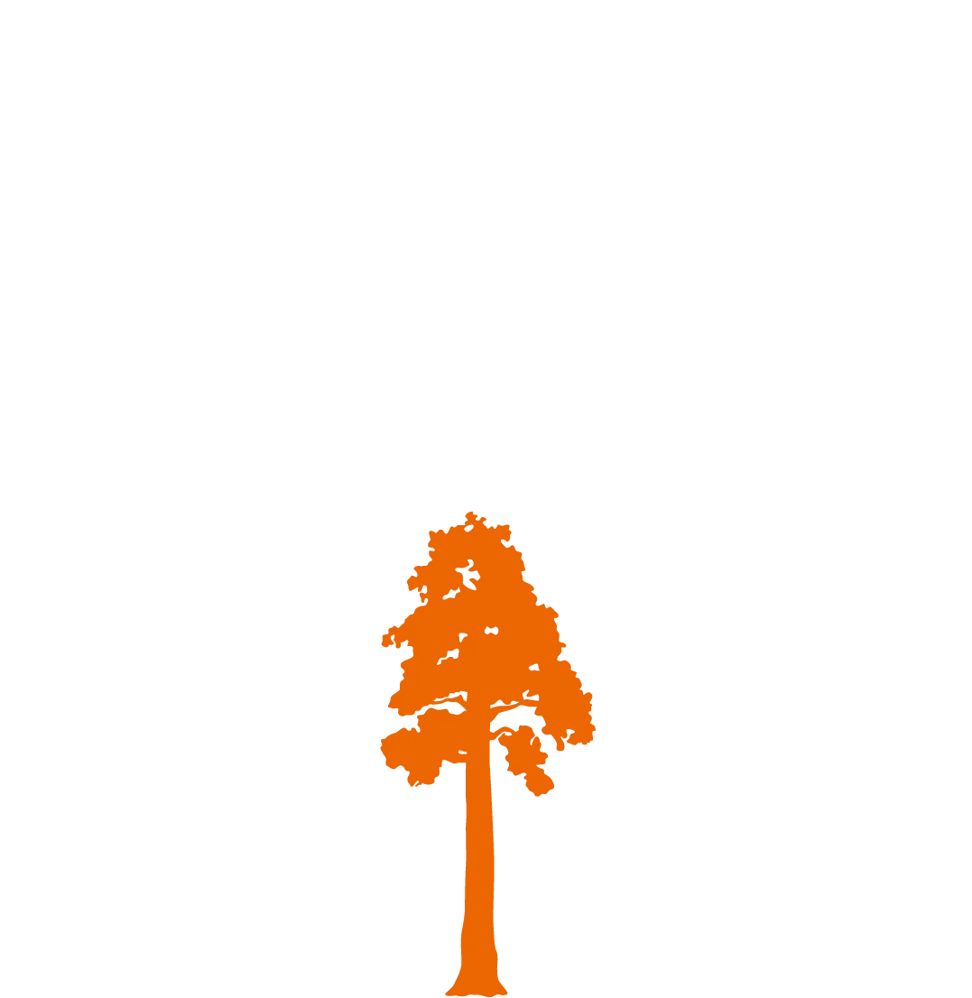 Minimalist Orange Tree Silhouette Clipart: Elegant Woodland Design Element