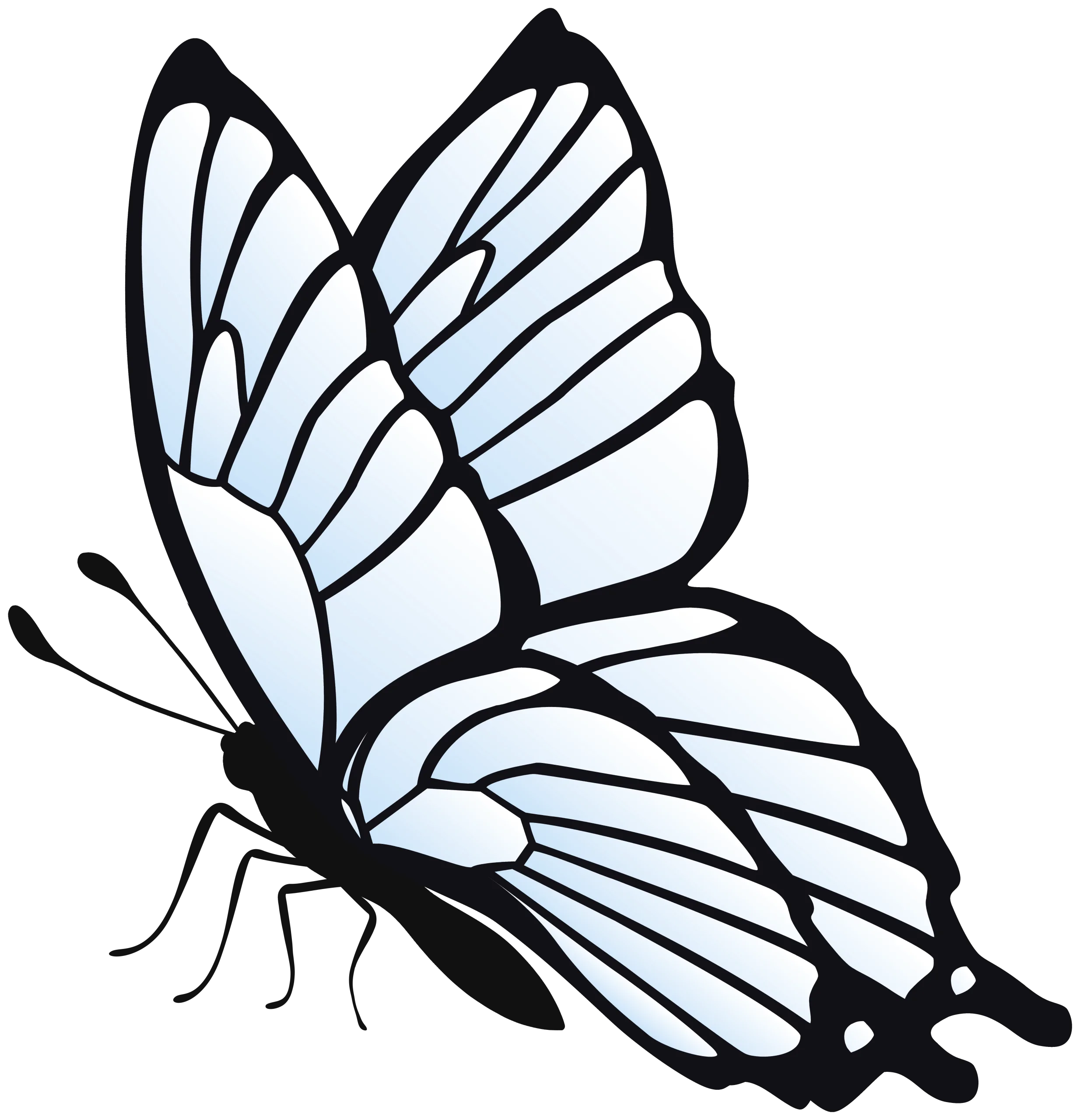 Elegant Black and White Butterfly Clipart with Delicate Wing Patterns