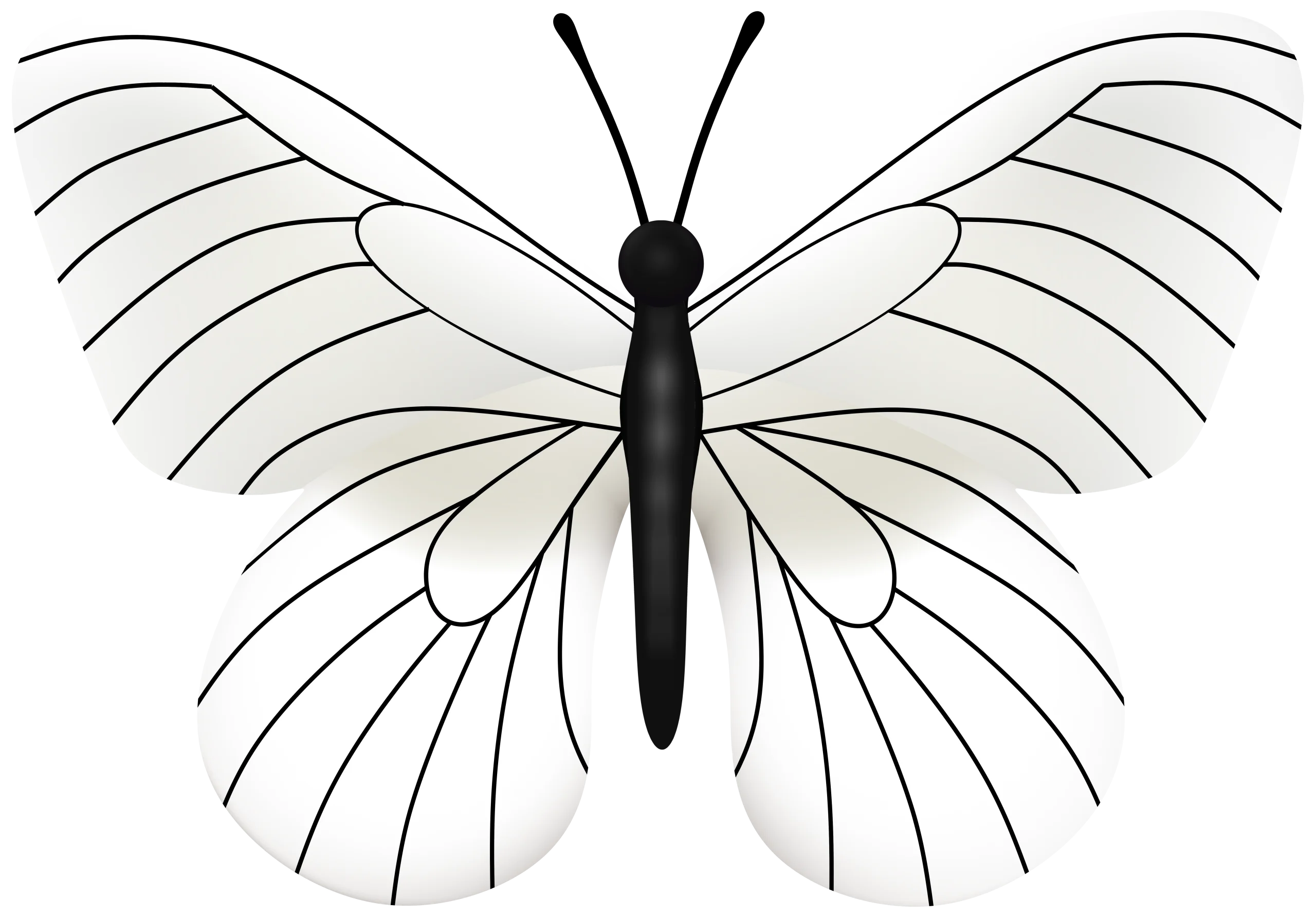 Elegant Black and White Butterfly Silhouette Minimalist Clipart Design