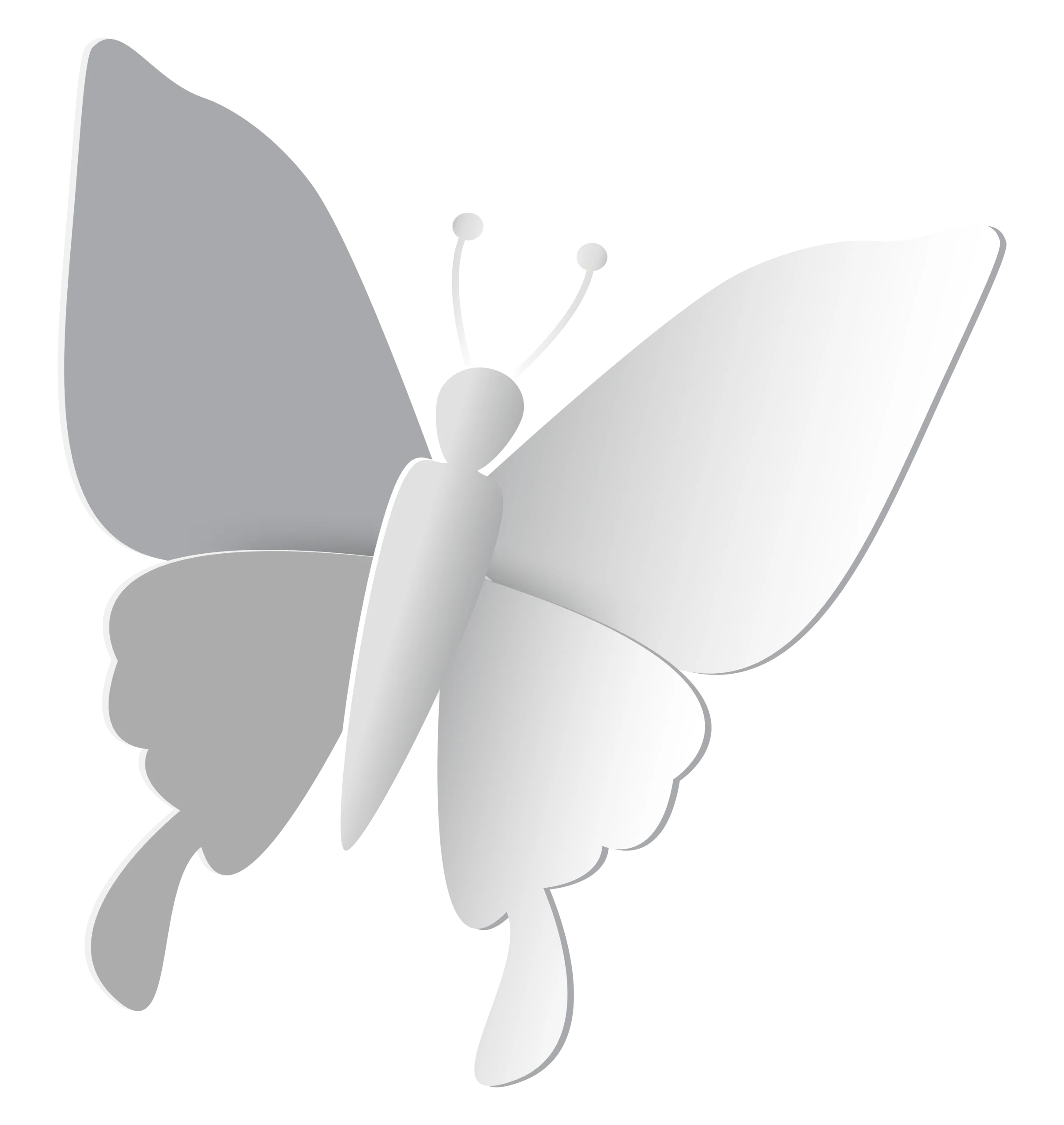 Elegant Monochromatic Butterfly Clipart with Delicate Symmetrical Design