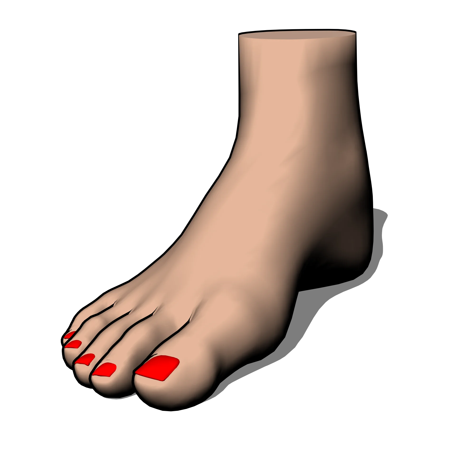 Realistic 3D Rendered Anatomical Human Foot Clipart with Painted Toenails