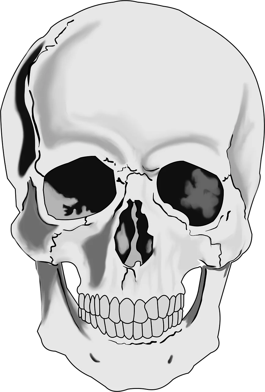 Monochromatic Grayscale Human Skull Anatomical Clipart Illustration Design