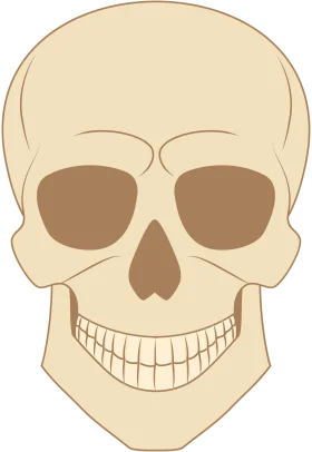 Minimalist Beige Skull Clipart with Smiling Expression and Simple Lines