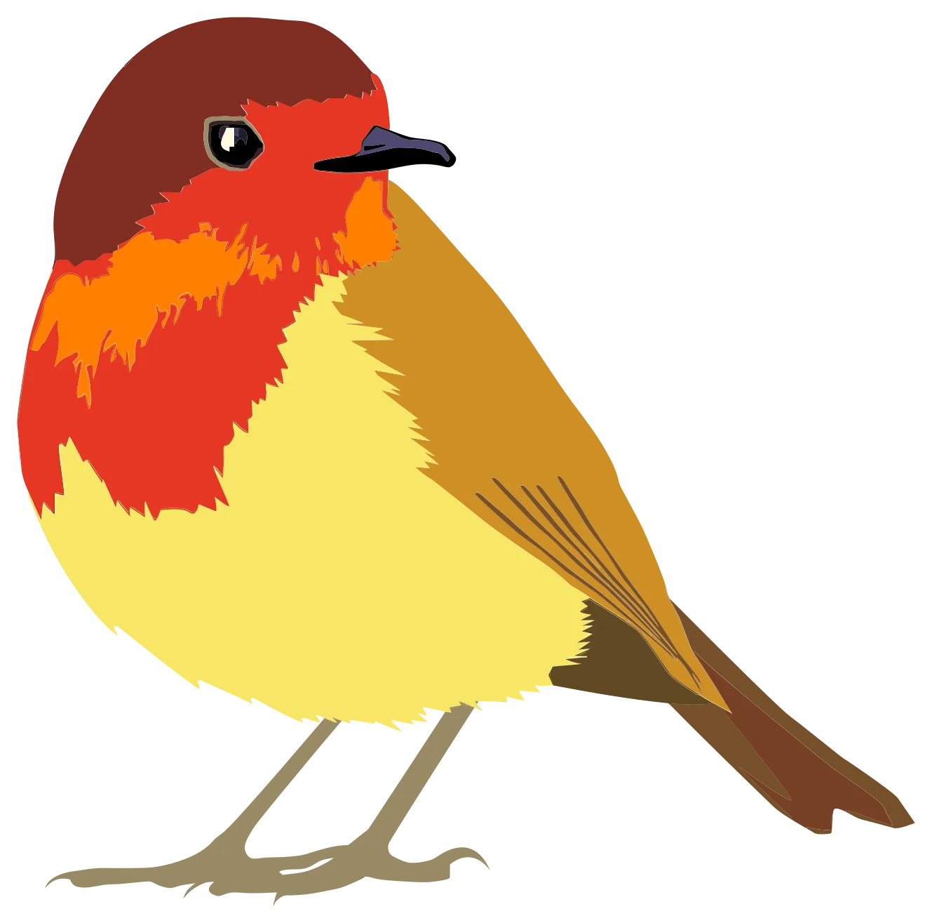 Adorable European Robin Clipart: Charming Woodland Bird Illustration