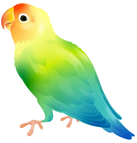 Adorable Lovebird Parrot Clipart with Gradient Color Spectrum