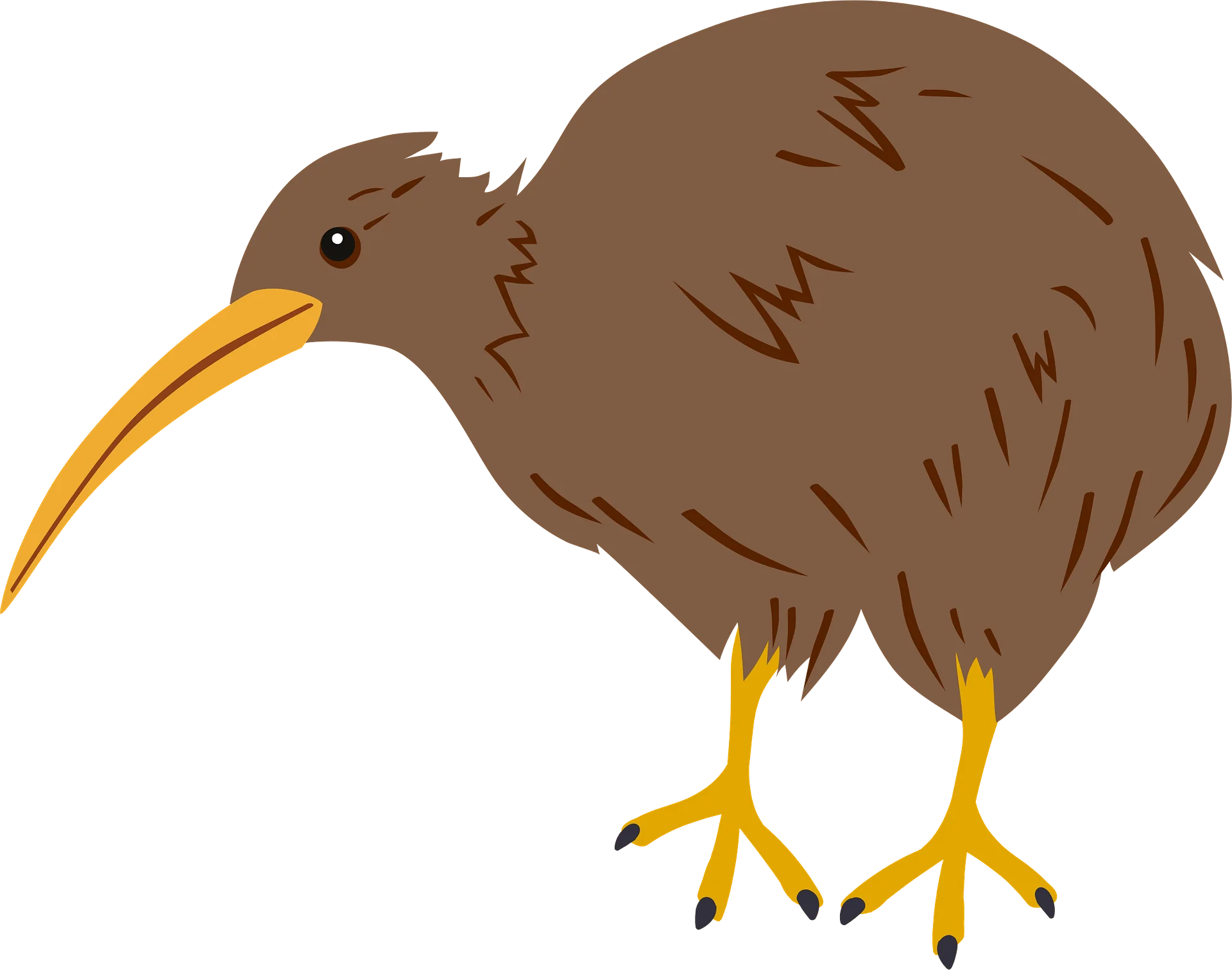 Charming Brown Kiwi Bird Clipart Illustration with Distinctive Long Beak