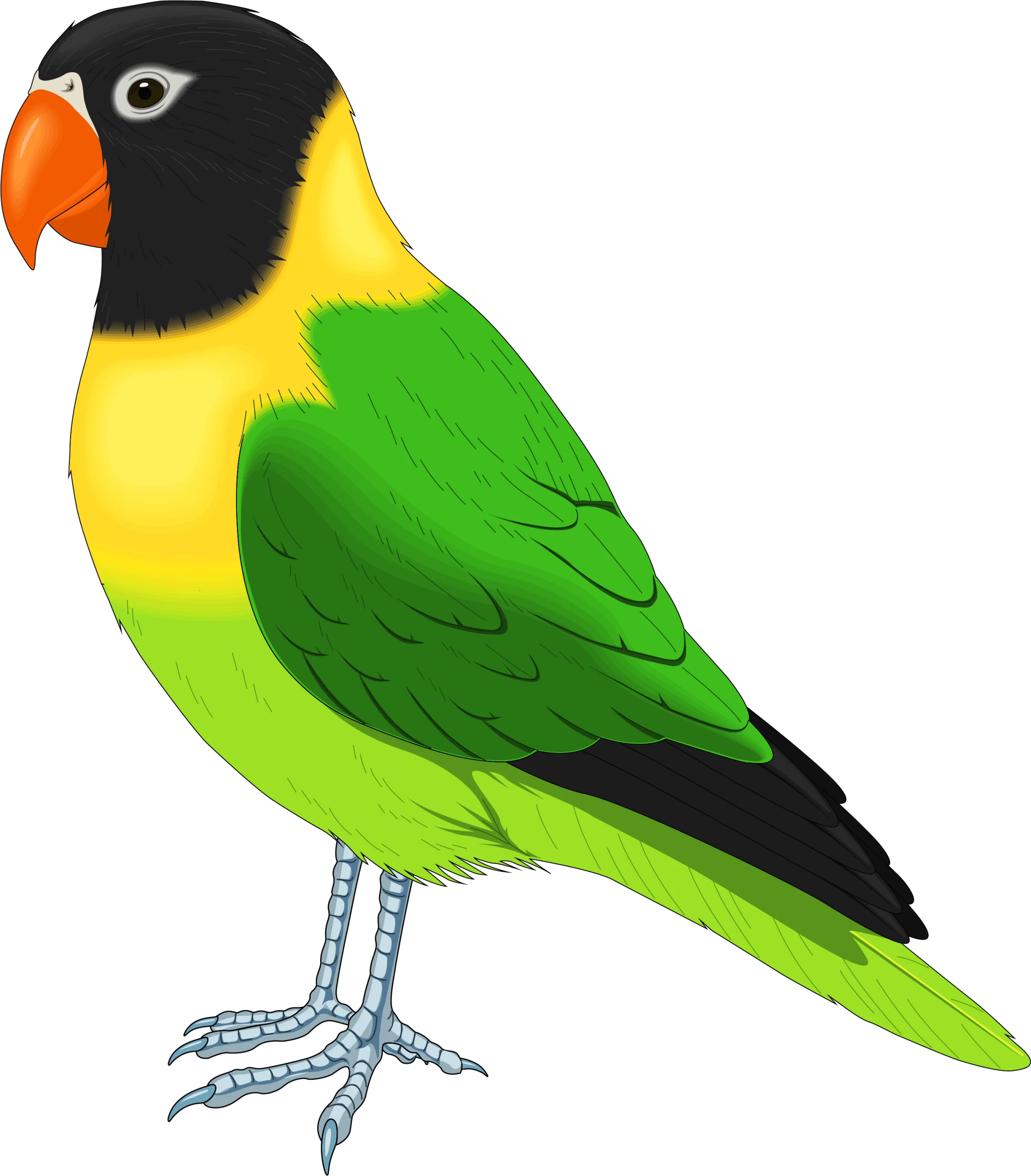 Charming Tropical Parrot Clipart with Bold Color Palette and Stylized Design