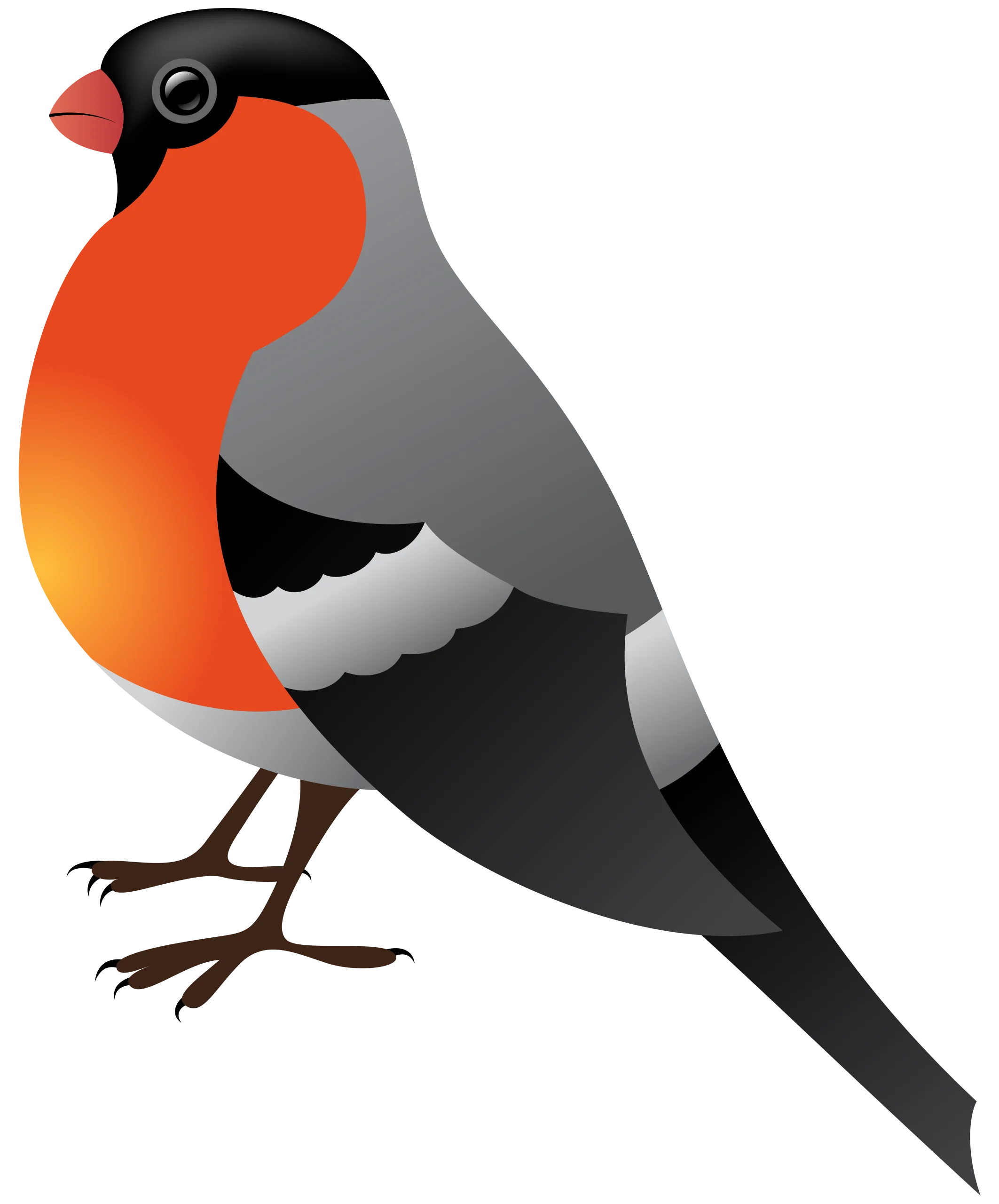 Stylized Bullfinch Clipart - A Geometric Illustration of a Colorful Woodland Bird