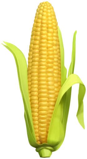 Ripe Golden Ear of Corn Clipart with Emerald Green Husks on White Background