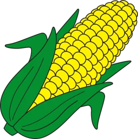 Fresh Ear of Corn Clipart: A Golden Harvest Illustration with Lush Green Leaves