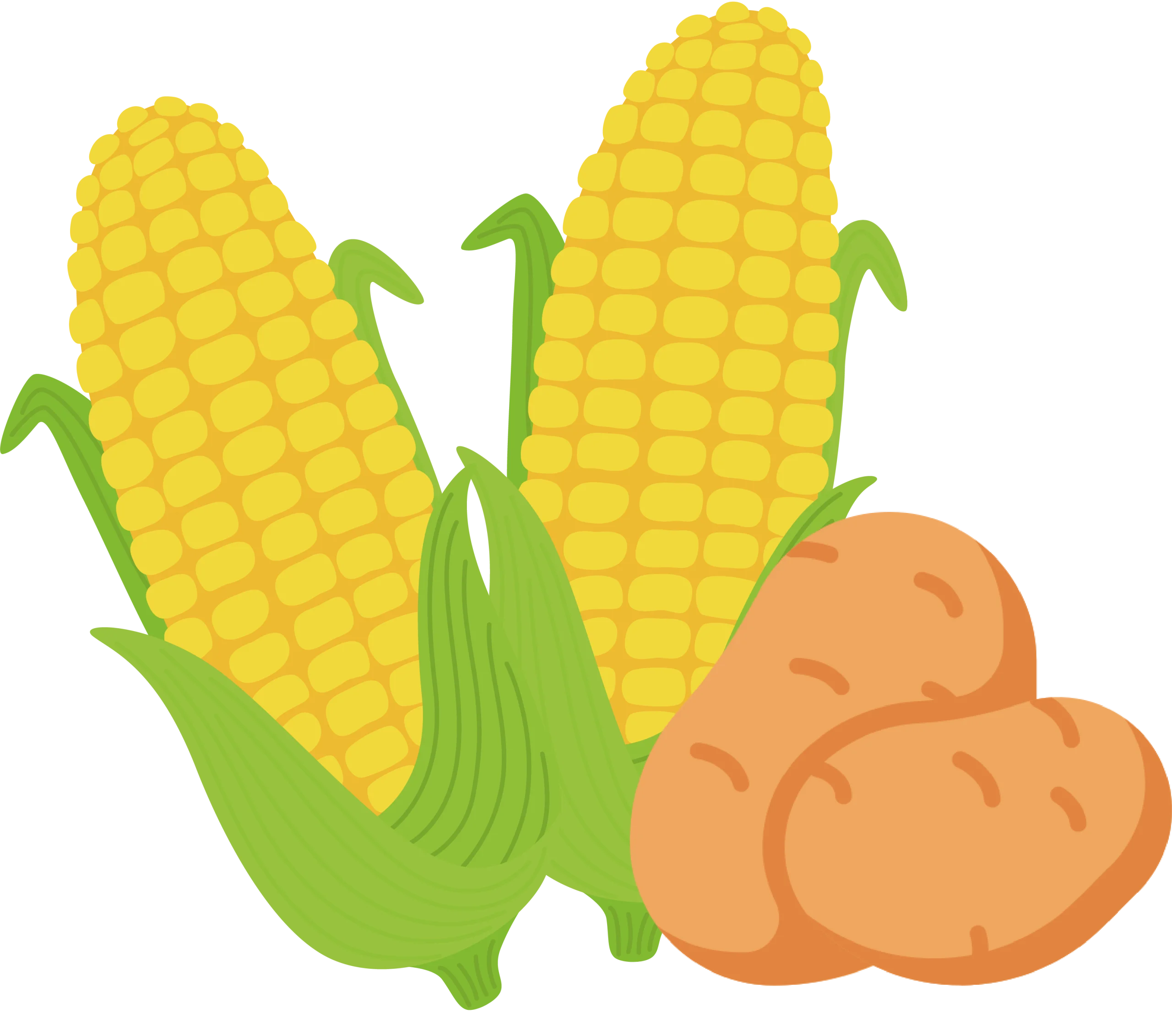 Fresh Golden Corn and Rustic Potatoes Wholesome Agricultural Clipart Collection