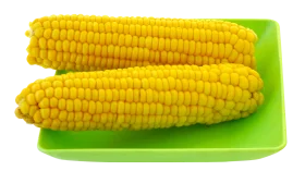 Fresh Golden Sweet Corn Clipart: A Delectable Summer Harvest Display