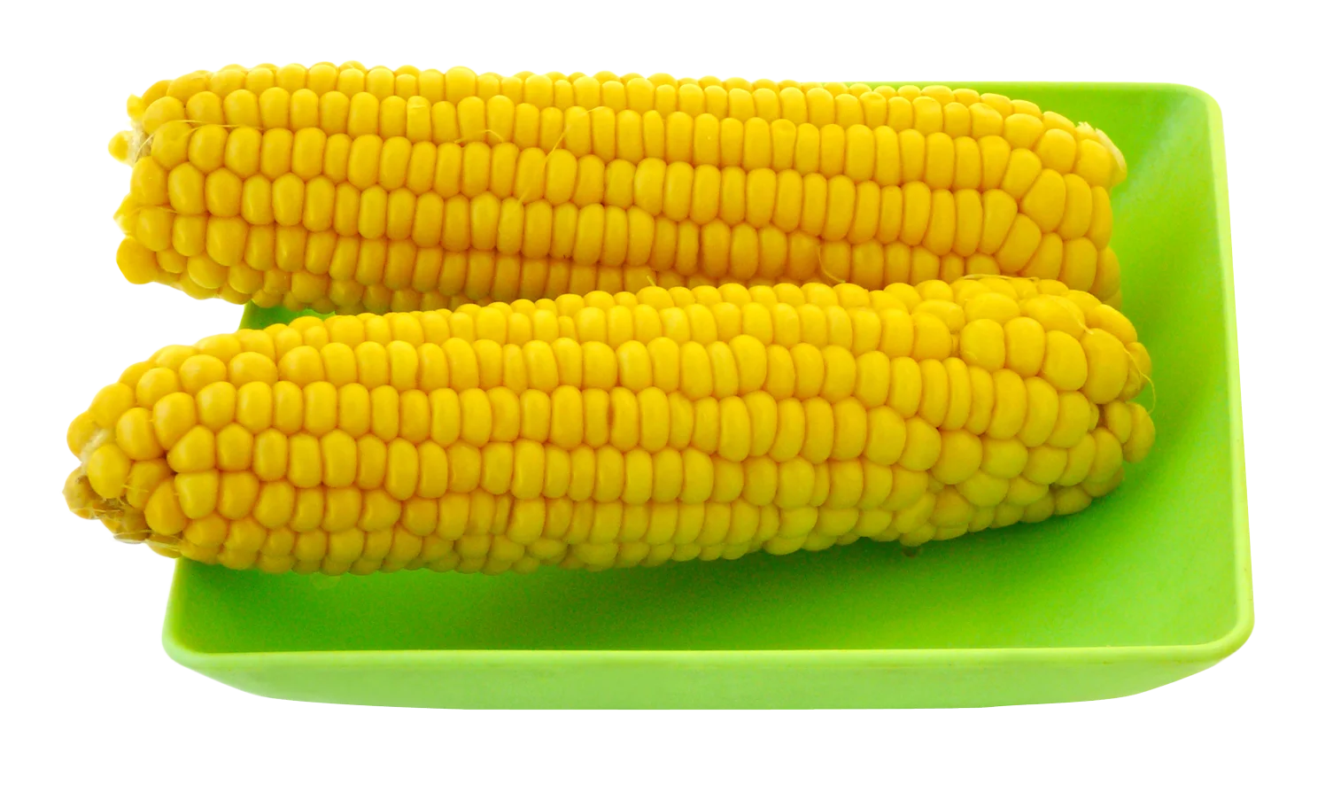 Fresh Golden Sweet Corn Clipart: A Delectable Summer Harvest Display