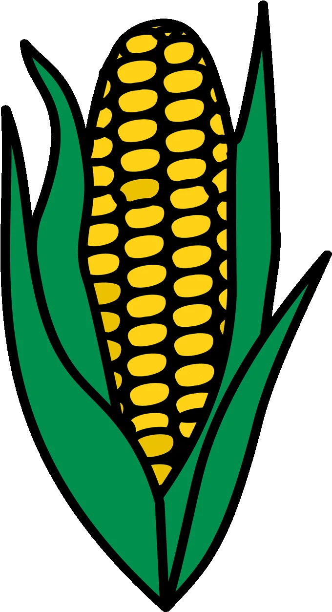 Golden Harvest Ear of Corn Clipart: Rustic Farm Fresh Illustration Design