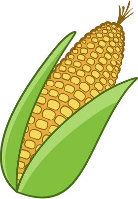Golden Ripe Corn Ear Clipart: A Rustic Harvest Illustration with Lush Green Husk