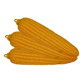 Golden Ripe Corn Ears Clipart Illustration with Detailed Kernel Texture