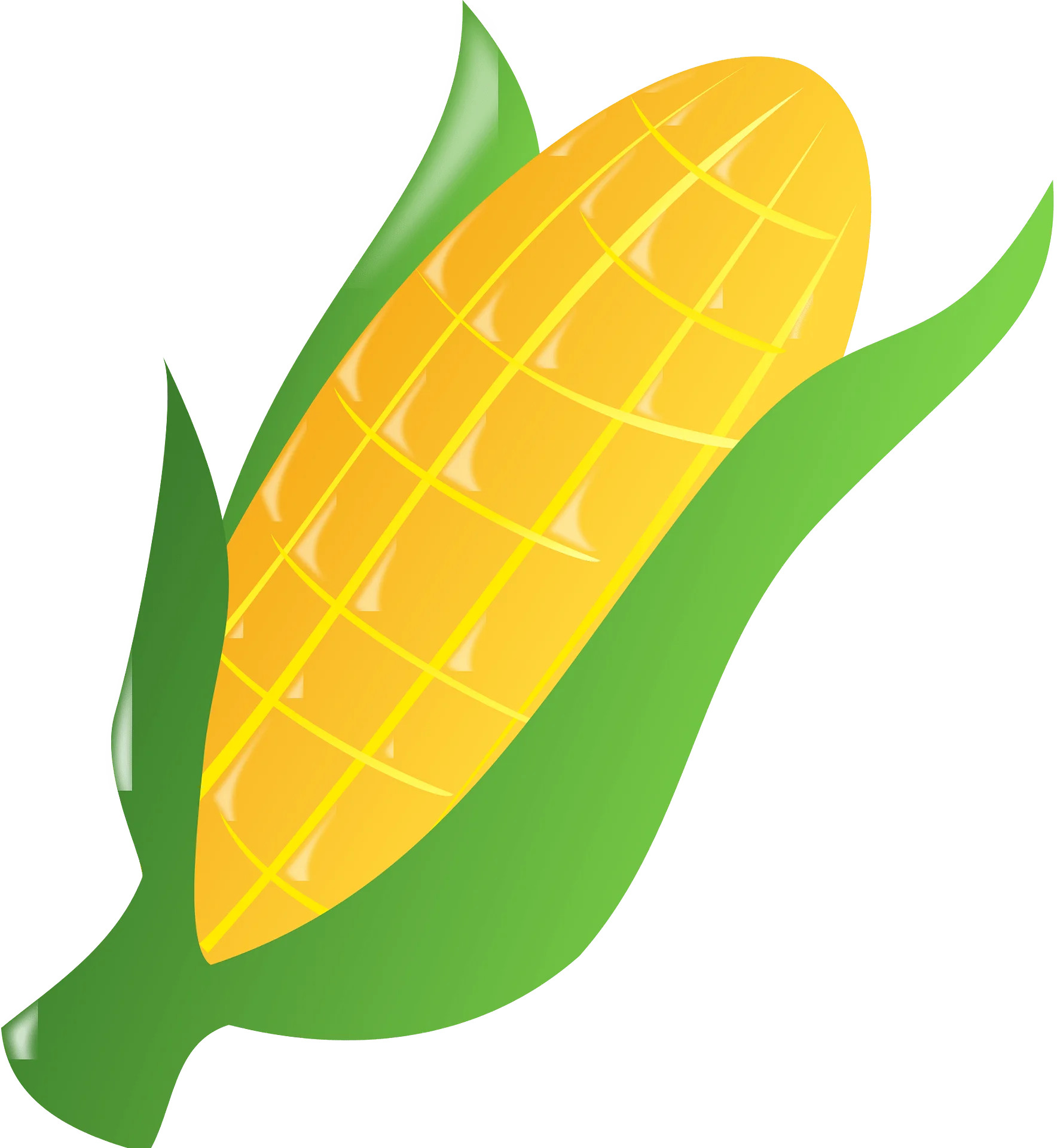 Sunny Yellow Ear of Corn Clipart Illustration with Fresh Green Husks