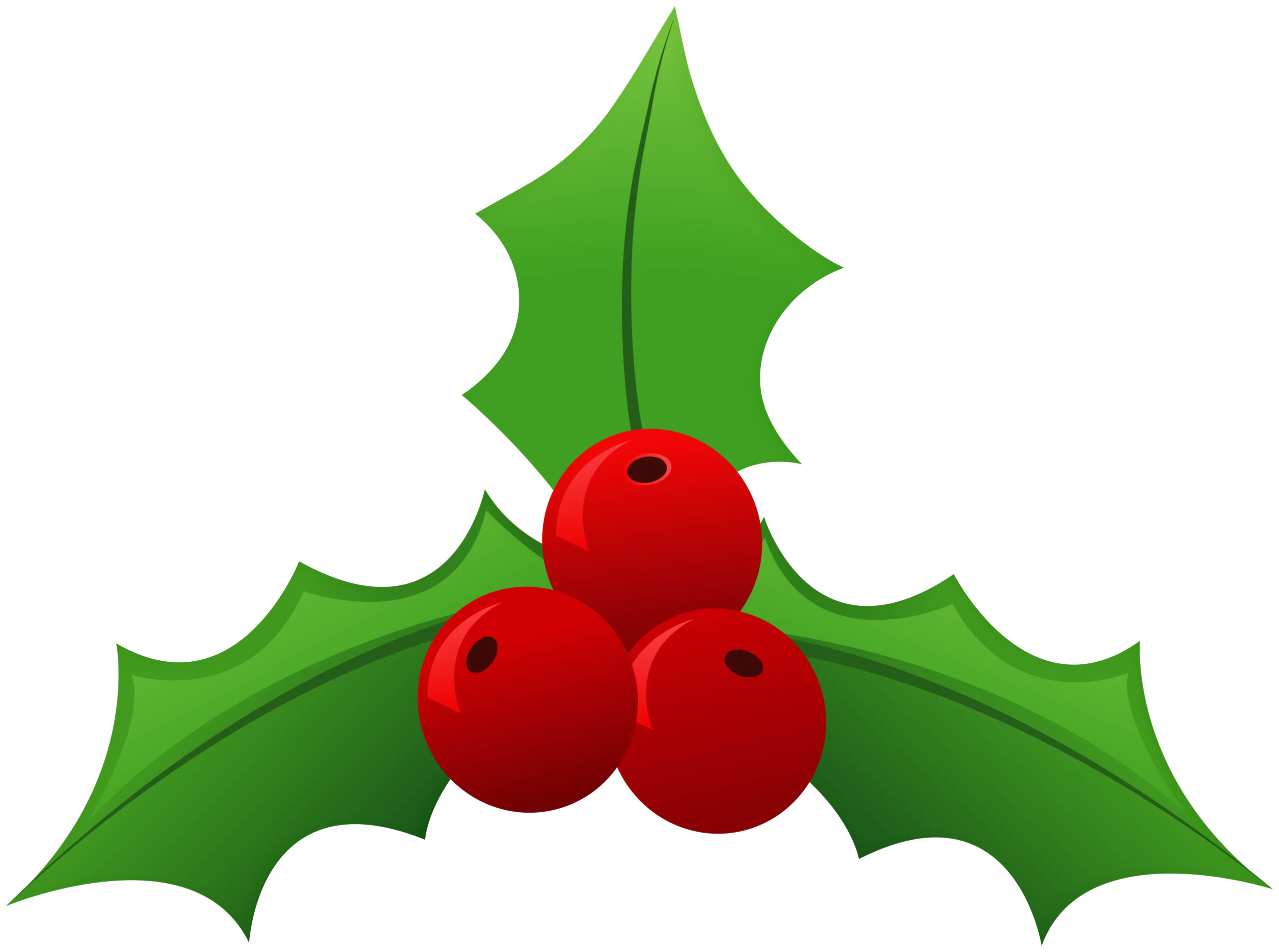 Classic Christmas Holly and Berries Traditional Seasonal Festive Clipart Design