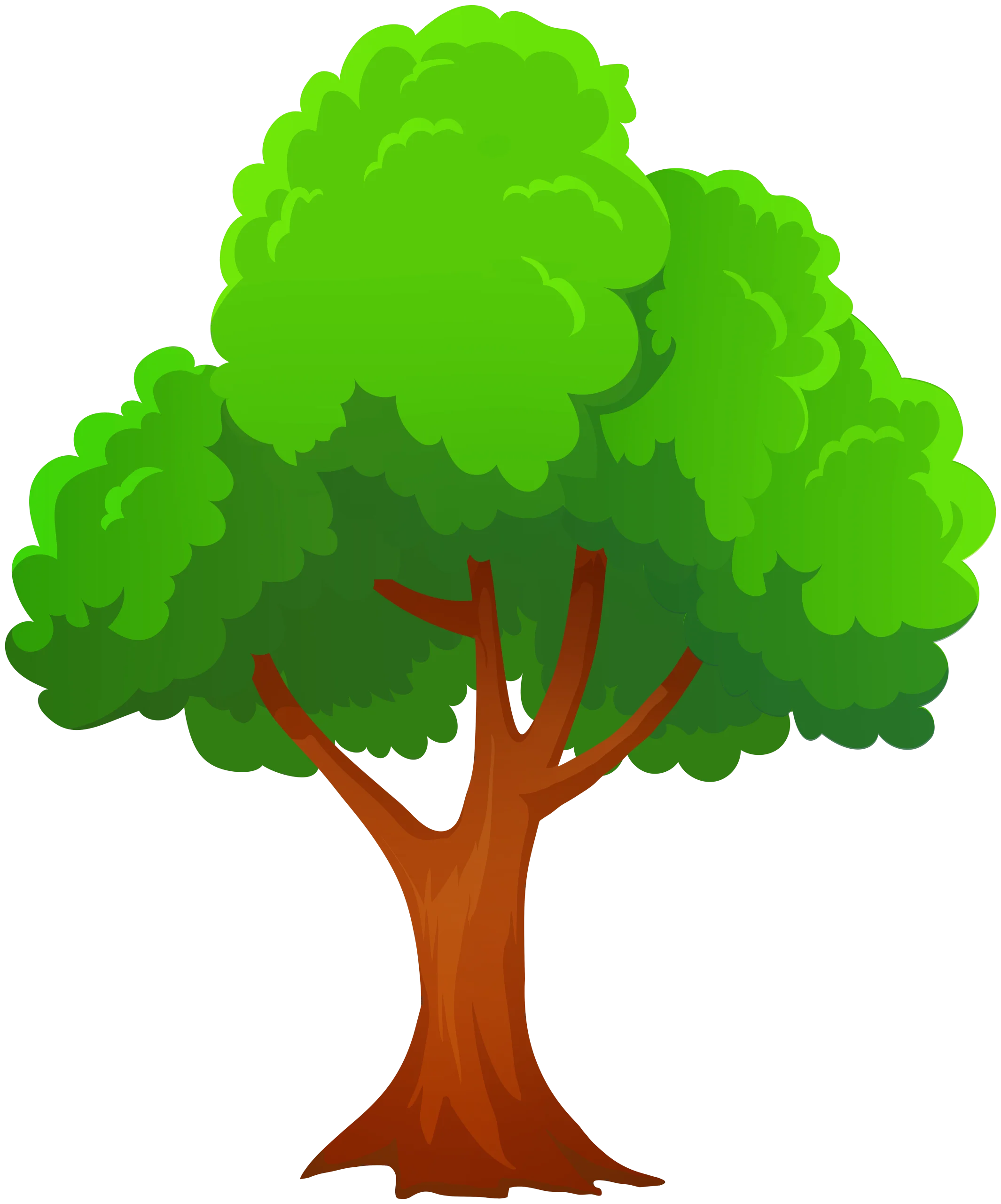 Lush Green Deciduous Tree Clipart Illustration with Textured Foliage