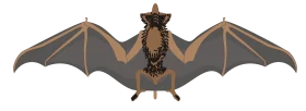 Detailed Anatomical Bat Silhouette Clipart Illustration with Spread Wings