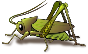 Detailed Green Grasshopper Clipart Illustration with Realistic Anatomical Features