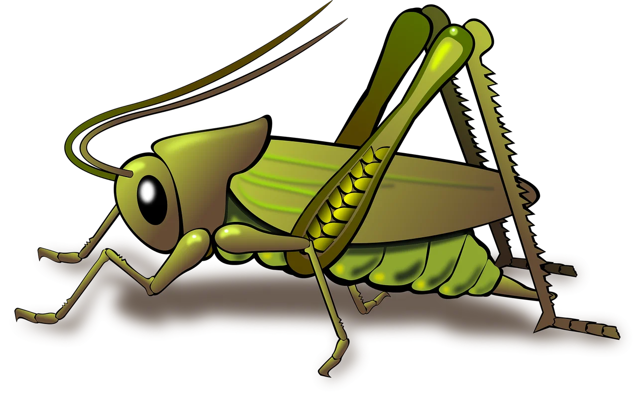 Detailed Green Grasshopper Clipart Illustration with Realistic Anatomical Features