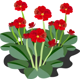 Cheerful Red Primrose Cluster Botanical Clipart Illustration for Design