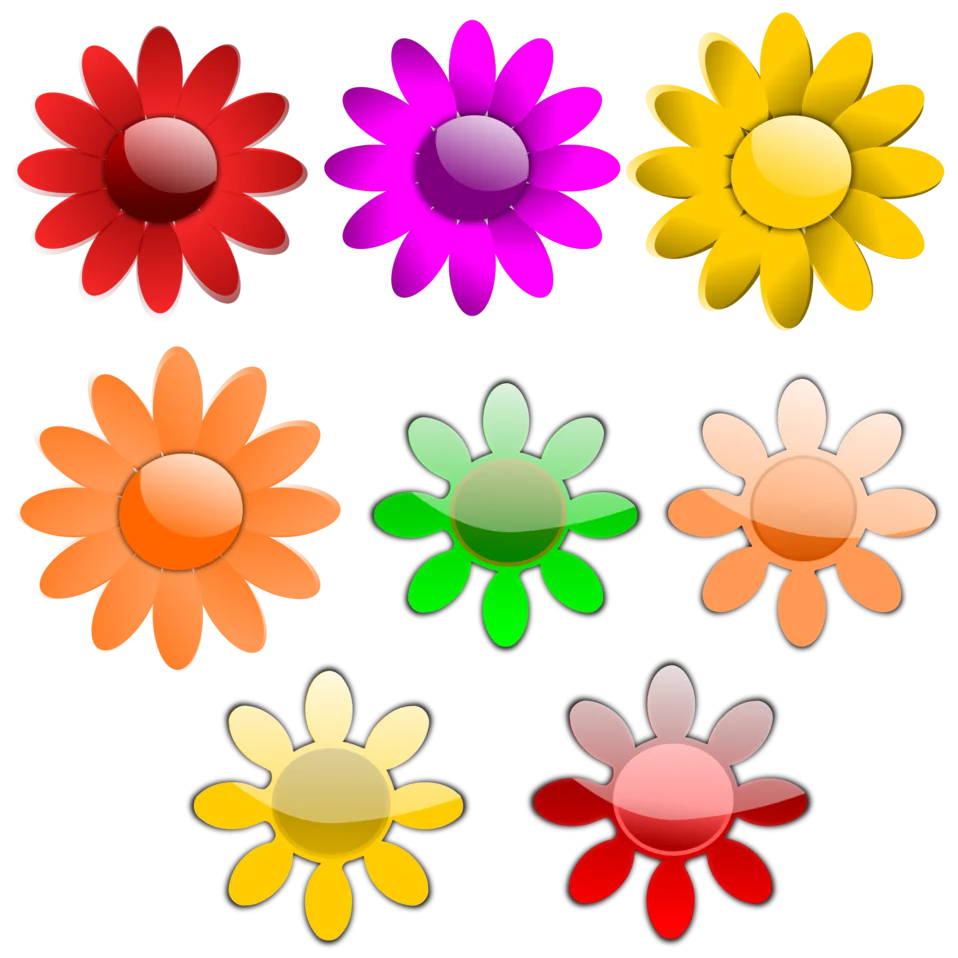 Cheerful Summer Daisy Clipart Collection with Radiant Color Spectrum