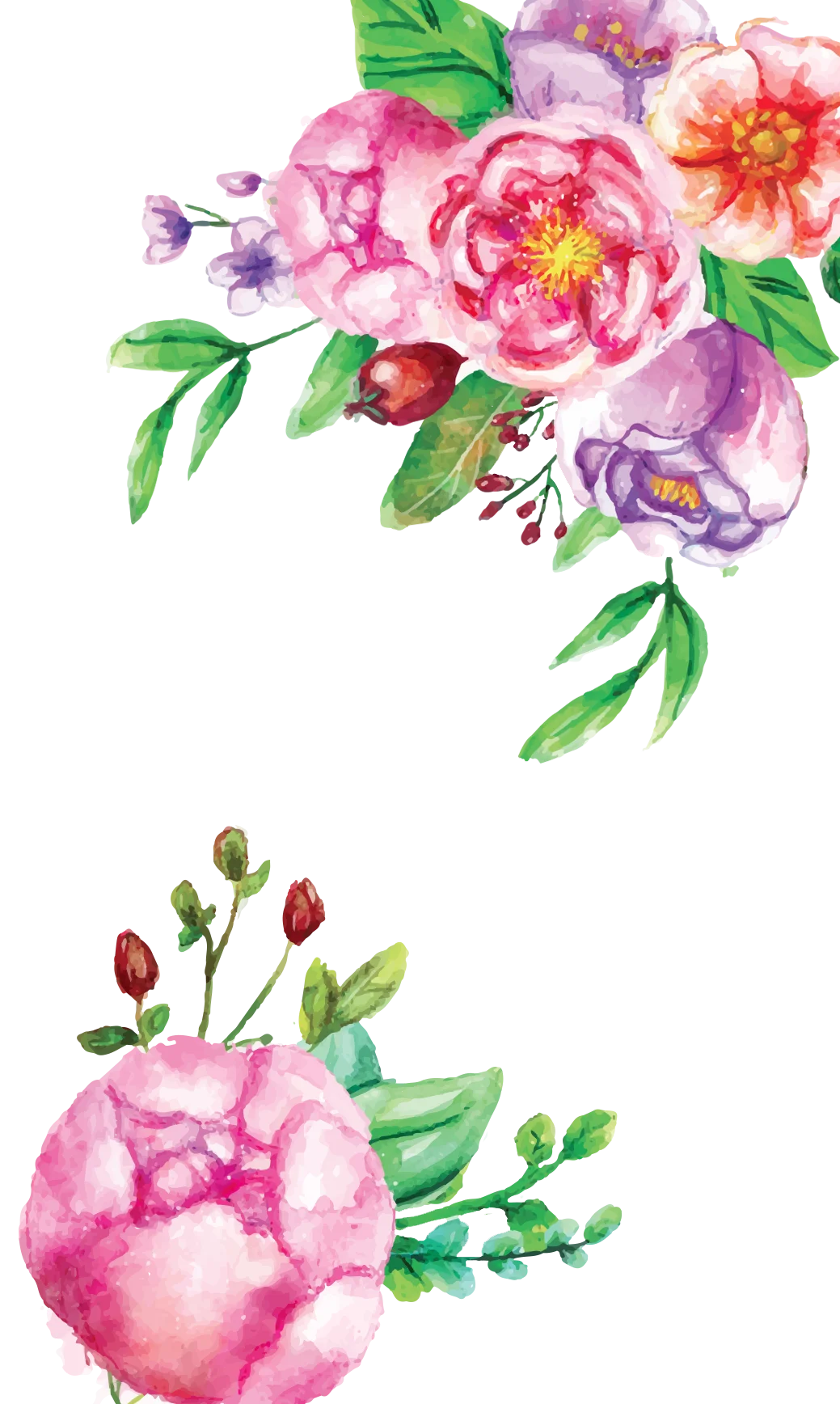 Romantic Watercolor Peony Flower Arrangement Clipart Collection