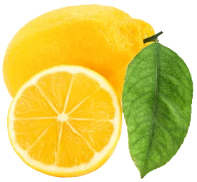 Fresh Sunny Lemon Clipart Illustration with Bright Citrus Slice and Green Leaf
