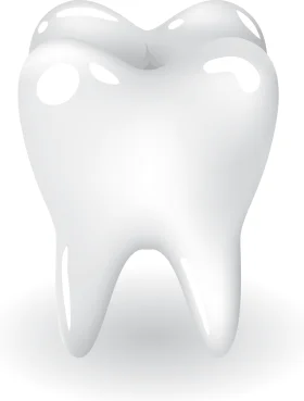 Pristine Molar Tooth Clipart: A Gleaming Dental Illustration with Smooth Contours