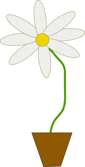 Charming White Daisy Clipart with Gentle Green Stem in Earthy Pot
