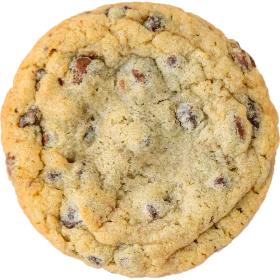 Freshly Baked Golden Chocolate Chip Cookie Clipart with Soft Texture
