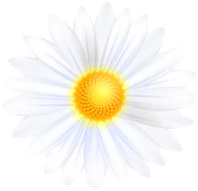 Pristine White Daisy Clipart with Radiant Golden Center on Soft Background