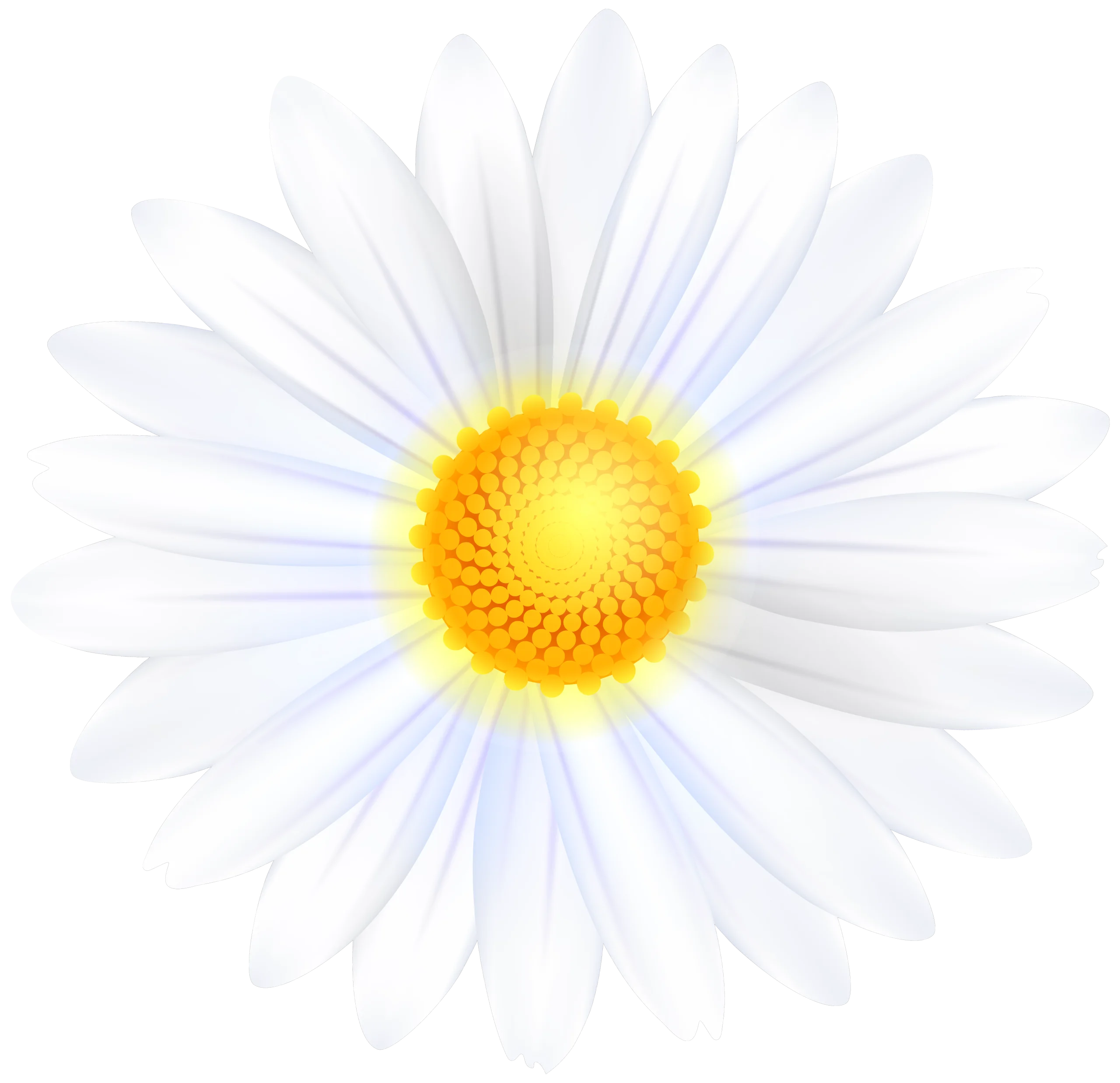 Pristine White Daisy Clipart with Radiant Golden Center on Soft Background