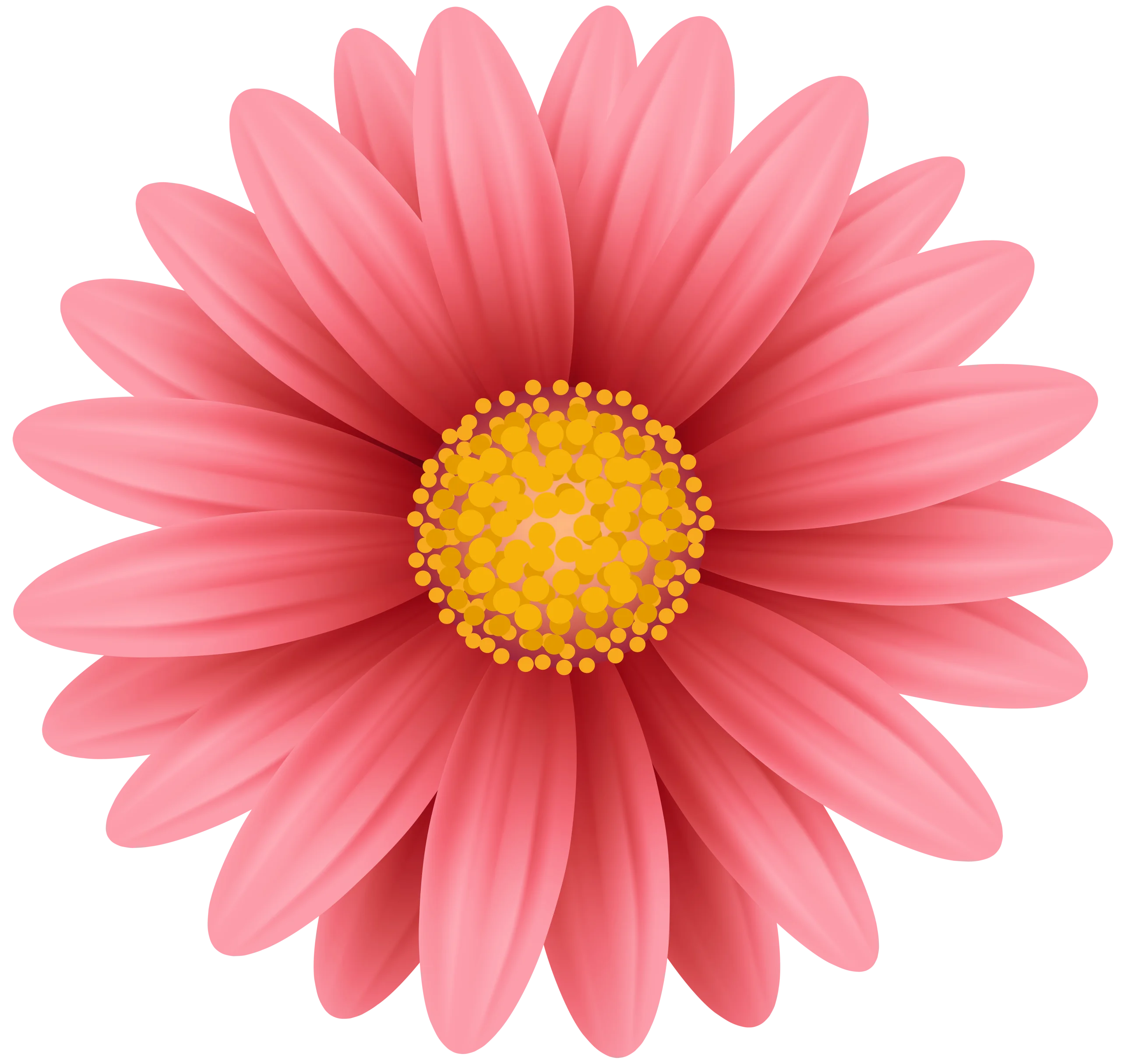 Soft Pink Daisy Clipart: Delicate Floral Illustration with Sunshine Yellow Center