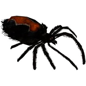 Detailed Black Widow Spider Clipart Illustration with Glossy Red Marking