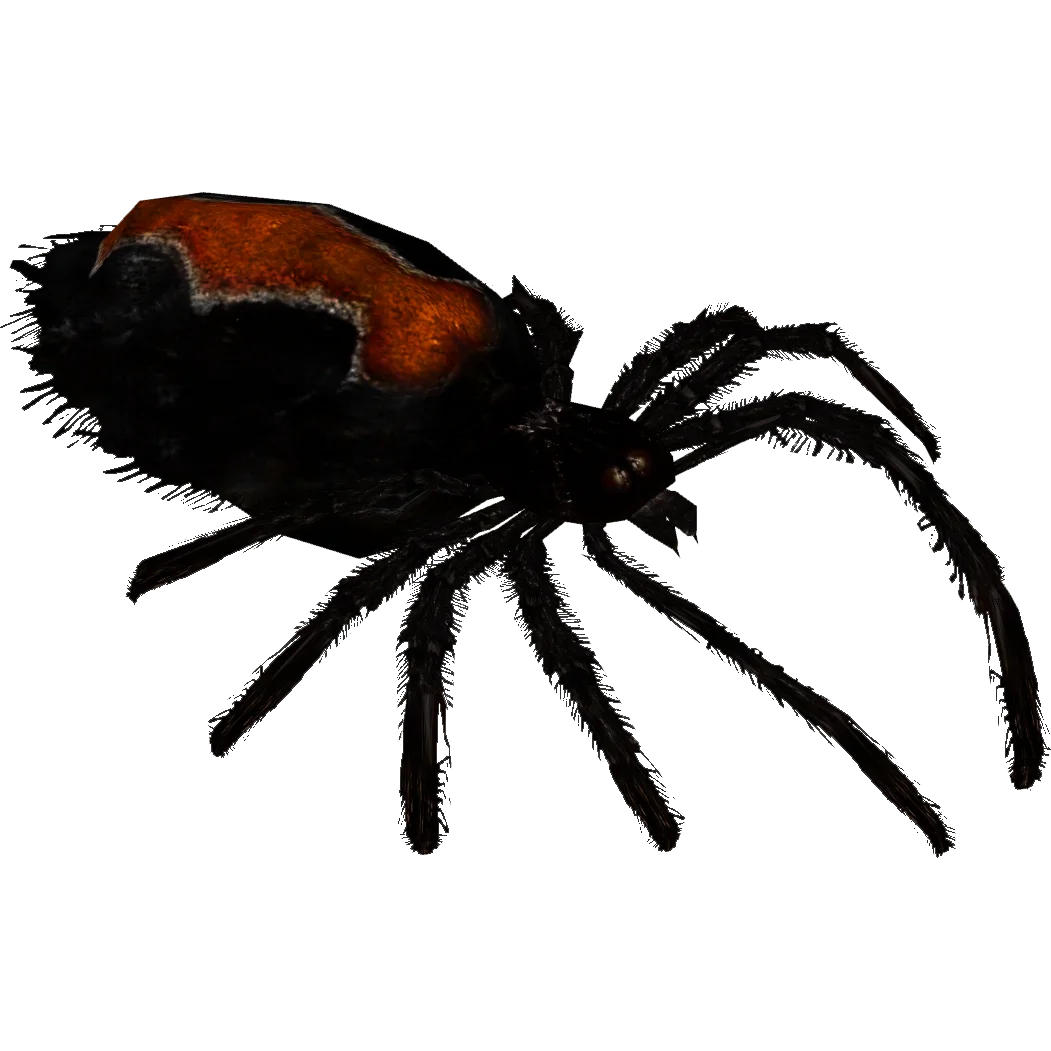 Detailed Black Widow Spider Clipart Illustration with Glossy Red Marking