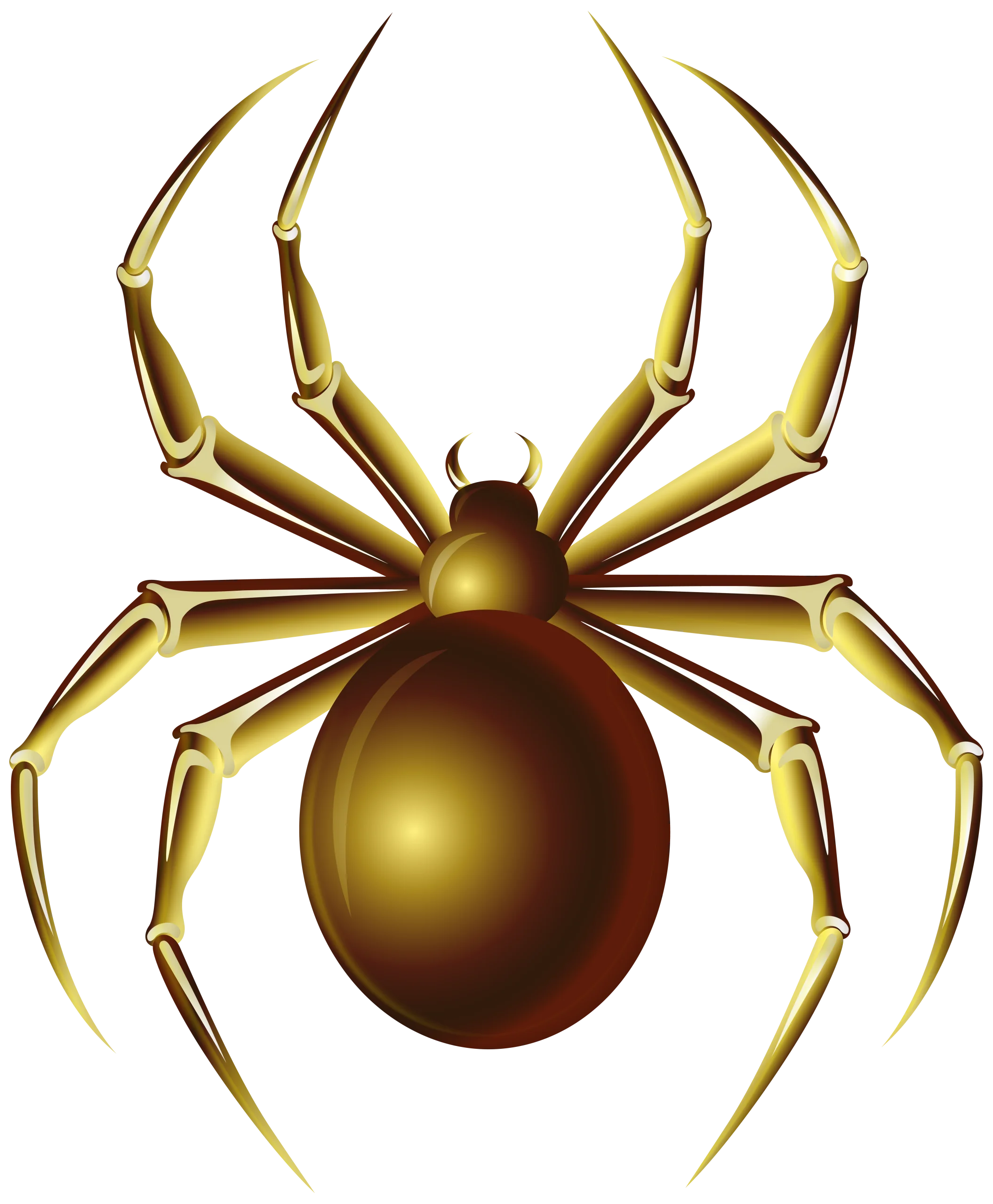 Golden Metallic Spider Clipart with Shimmering Symmetrical Design
