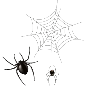 Haunting Black and White Spider Web Clipart Illustration with Creepy Arachnids