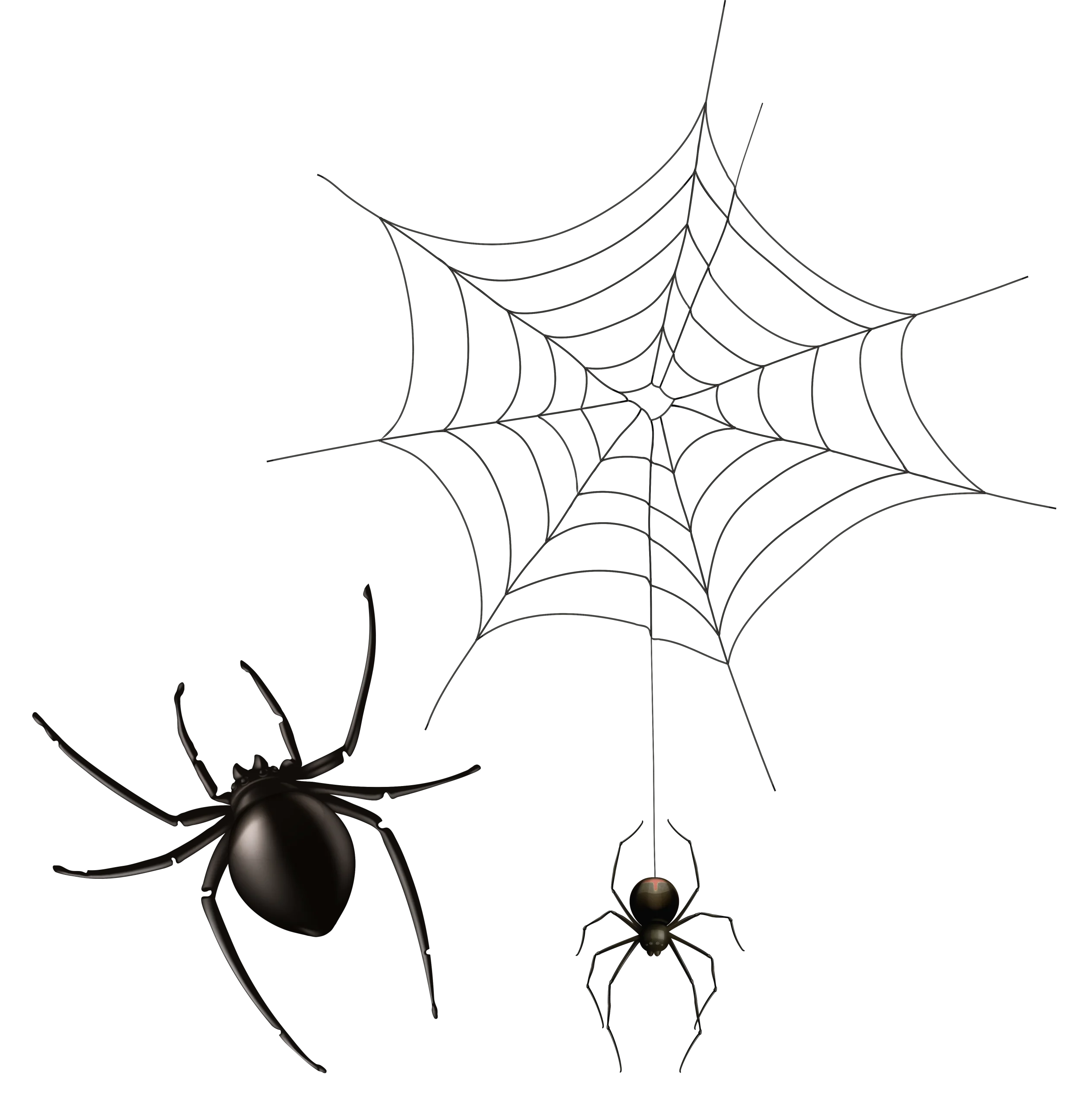 Haunting Black and White Spider Web Clipart Illustration with Creepy Arachnids